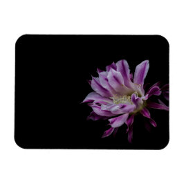 Ímã Flor de cacto roxo e branco