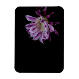 Ímã Flor de cacto roxo e branco