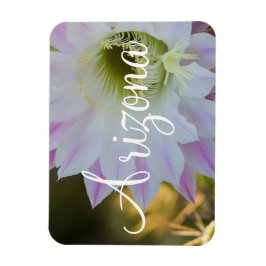 Ímã Flor de cacto roxo e branco, Arizona