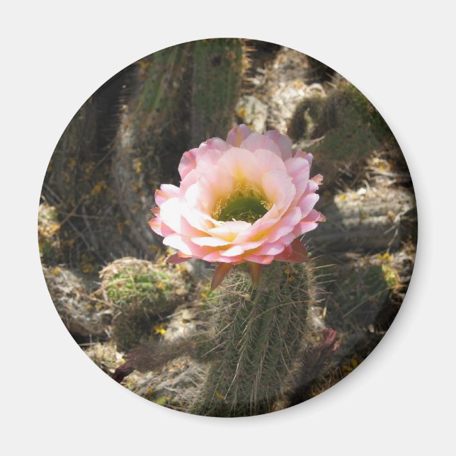 Imã Flor de Cactus Rosa (Frente)