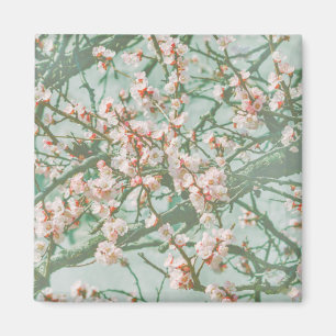Imã Flor de cereja