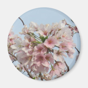 Imã Flor de cerejeira
