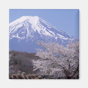 Imã Flor de cerejeira e Monte Fuji