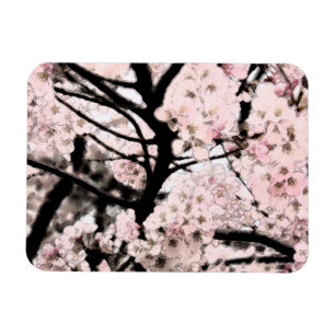 Ímã Flor de cerejeira editada