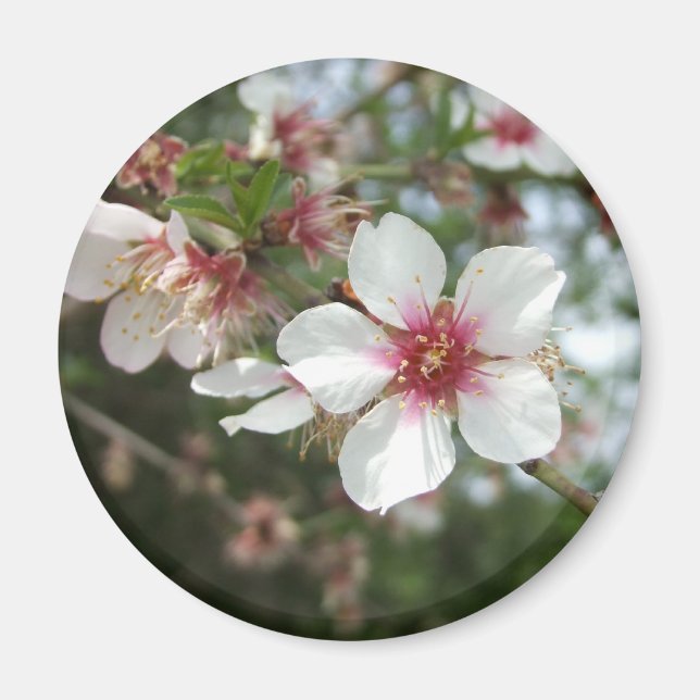 Imã Flor de Flor de Flor (Frente)