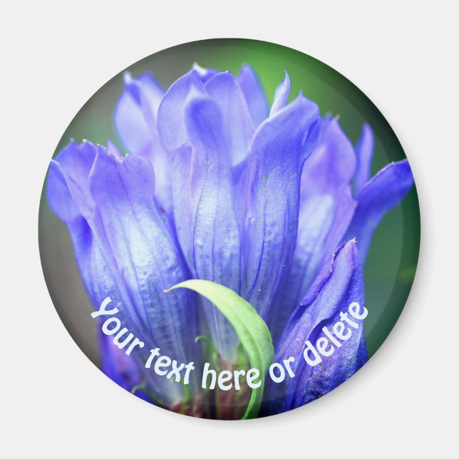 Imã Flor de Genciana Azul Personalizada (Frente)