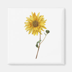 Imã Flor de Girassol Flor Flor Flor Bloqueio