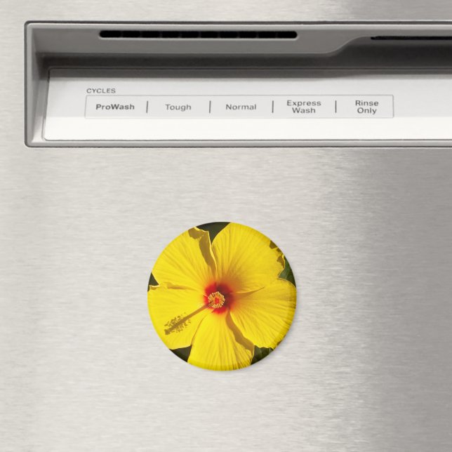 Imã Flor de Hibiscus Amarelo (In Situ (Dishwasher))