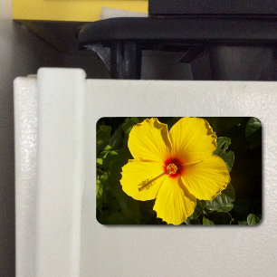 Ímã Flor de Hibiscus Amarelo