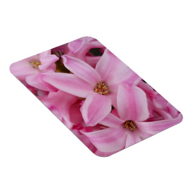 Ímã flor de hyacinte rosa (Lado Direito)