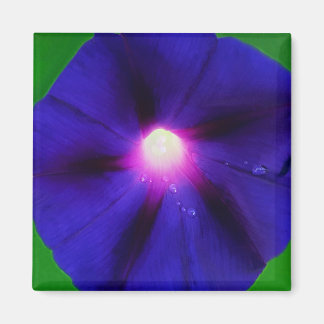 Imã Flor de Ipoméia Roxa