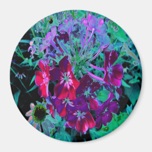 Imã Flor de Jardim Vermelho, Púrpura e Rosa Dramátic