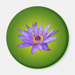 Imã Flor de Lírio Aquático Roxo do Lago