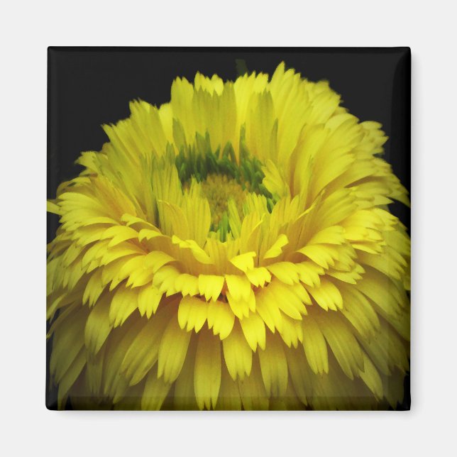 Imã Flor de logotipo (Frente)