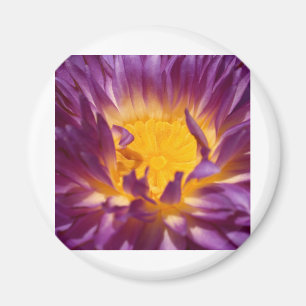 Imã flor de lótus