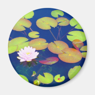 Imã Flor de Lotus cor-de-rosa que flutua com as