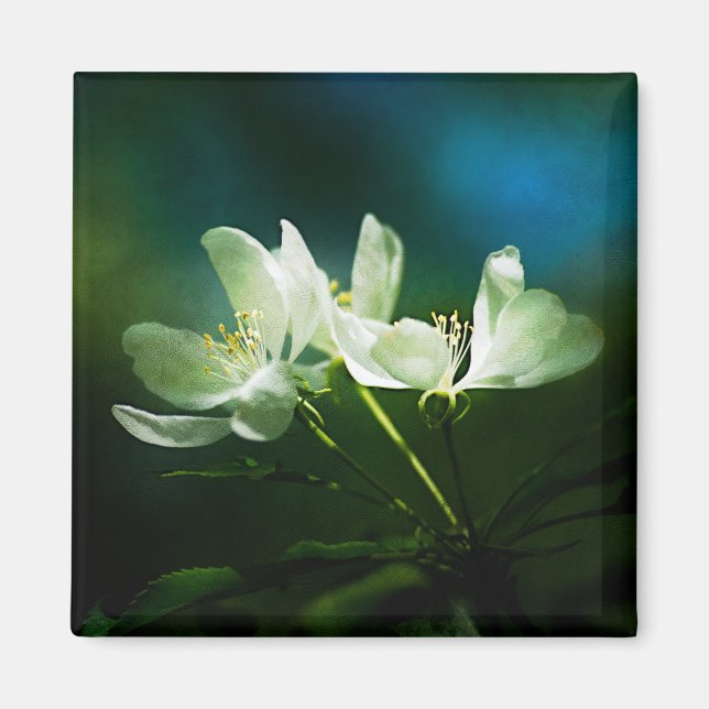 Imã Flor de Maçã - Duas Flores (Frente)