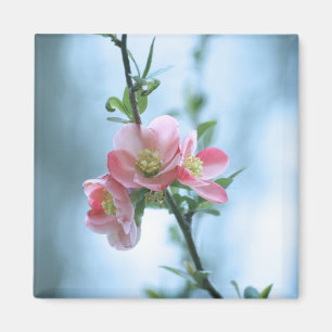 Imã Flor de Maçã #P0365 Magnet