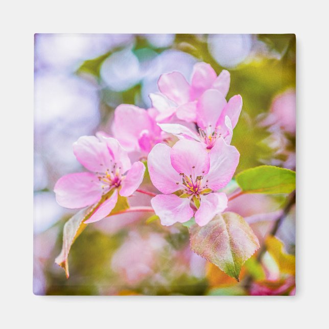 Imã Flor de Maçã Rosa (Frente)
