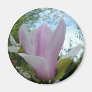 Imã flor de magnólia