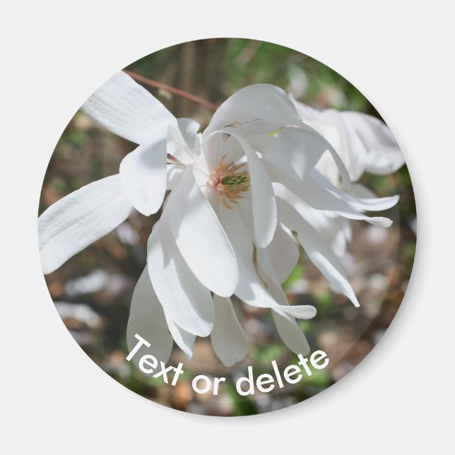 Imã Flor de Magnólia Branca Personalizada (Frente)