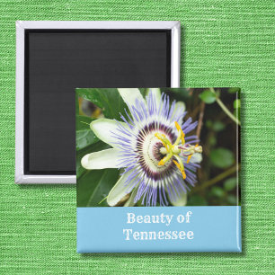 Imã Flor de Maracujá Flor do Estado do Tennessee