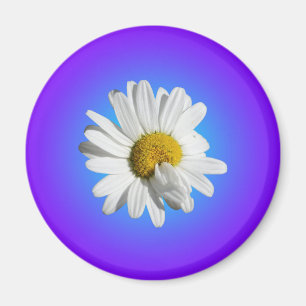 Imã Flor de Margarida Branca Gradiente Azul Roxo