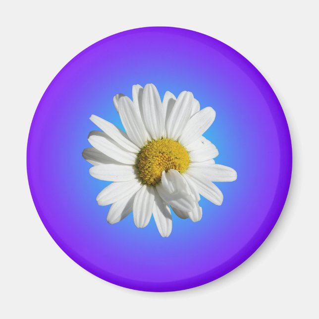 Imã Flor de Margarida Branca Gradiente Azul Roxo (Frente)