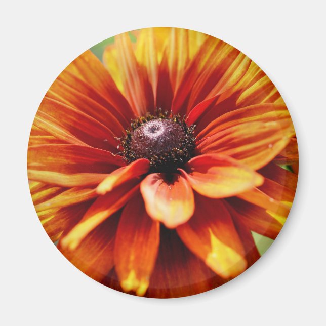 Imã Flor de Margarida Laranja (Frente)