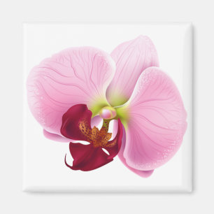 Imã flor de orquídea