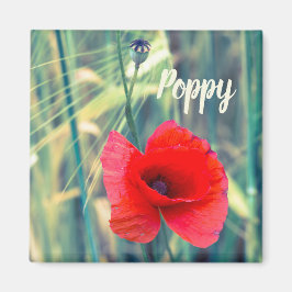 Imã Flor de papoila para jardineiros e presente de ama