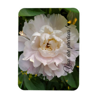 Ímã Flor de peônia