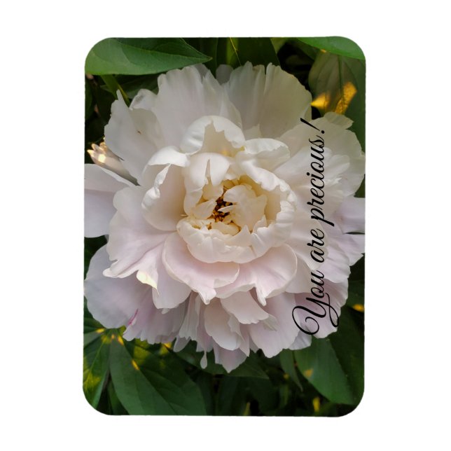 Ímã Flor de peônia (Vertical)