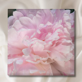 Imã Flor de Peônia Rosa