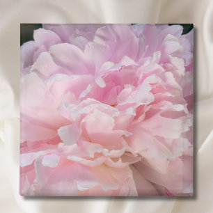 Imã Flor de Peônia Rosa