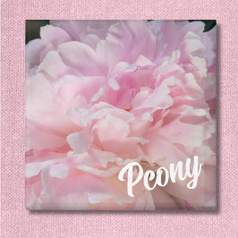 Imã Flor de Peônia Rosa para Amantes de Peônia