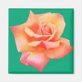 Imã Flor de pêssego