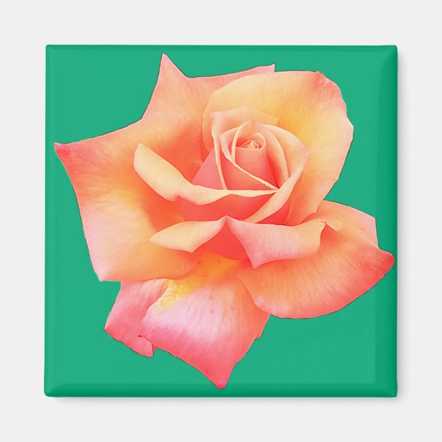 Imã Flor de pêssego (Frente)