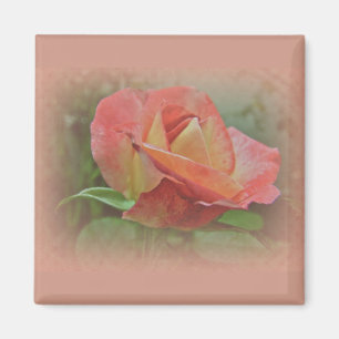 Imã Flor de Rosa de pêssego