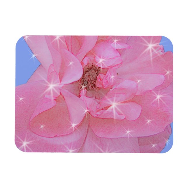 Ímã flor de rosa rosa e estrelas cintilantes (Horizontal)