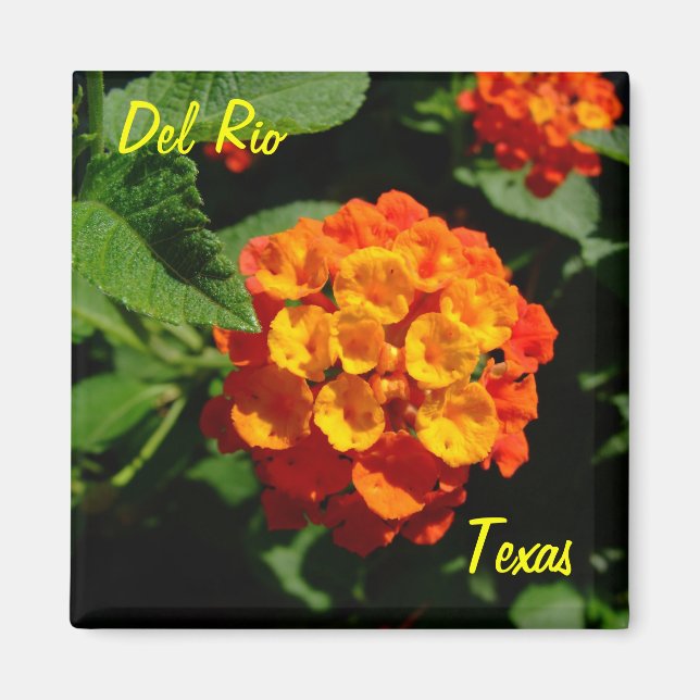 Imã Flor Del Rio Texas Magnet Lantana (Frente)