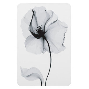 Ímã Flor Deslumbrante: Reflexo Radiante da Natureza