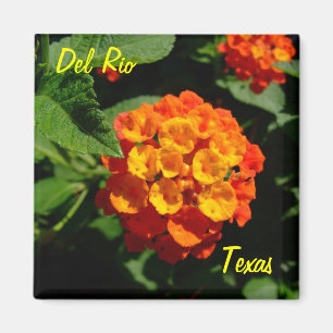 Imã Flor do Lantana do ímã de Del Rio Texas