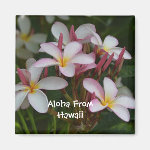 Imã Flor do Plumeria