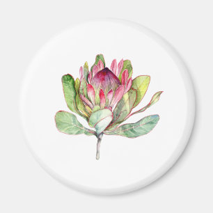 Imã Flor do Protea