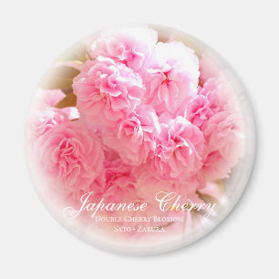 Imã Flor Duplo de Cereja: Sato-zakura