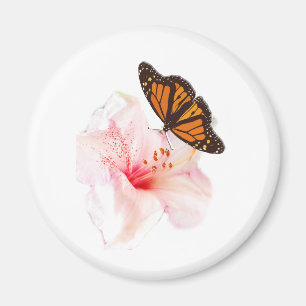 Imã flor e borboleta