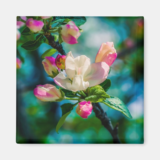 Imã Flor e botões de maçarico (Frente)