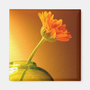 Imã Flor em Vase