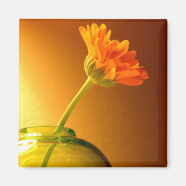 Imã Flor em Vase (Frente)